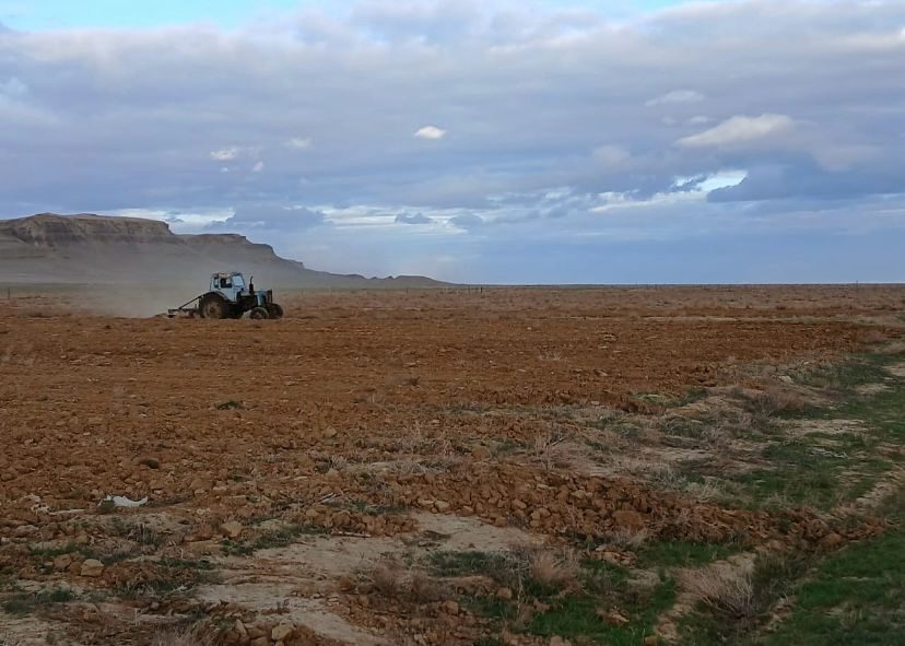 Ауылдық округтерде көктемгі жер жырту жұмыстары қарқынды жүріп жатыр