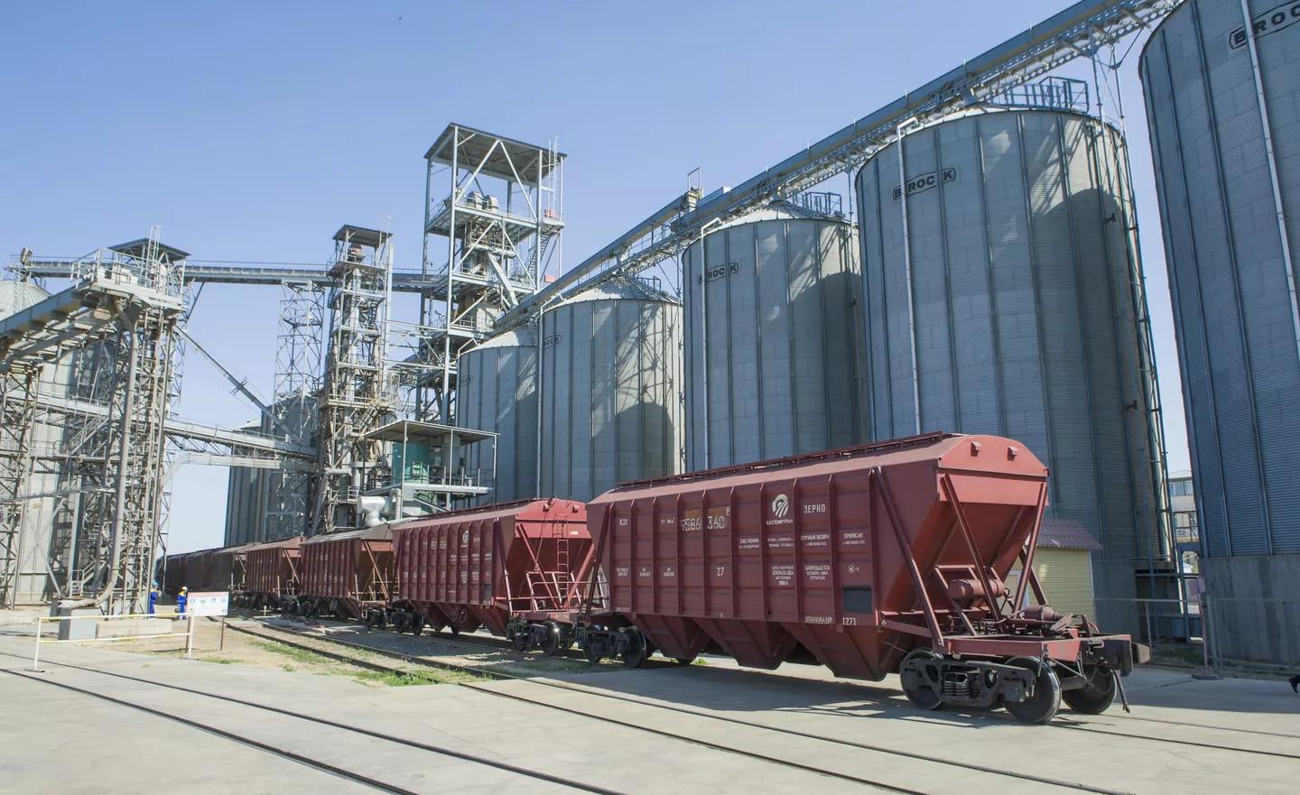Экспорт зерна нового урожая составил 7 млн тонн