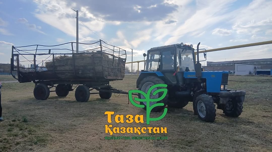 Свердловка ауылында ауылдың кіреберіс бөлігіндегі құрғақ жерлерді жинау және шабу жұмыстары аяқталды.