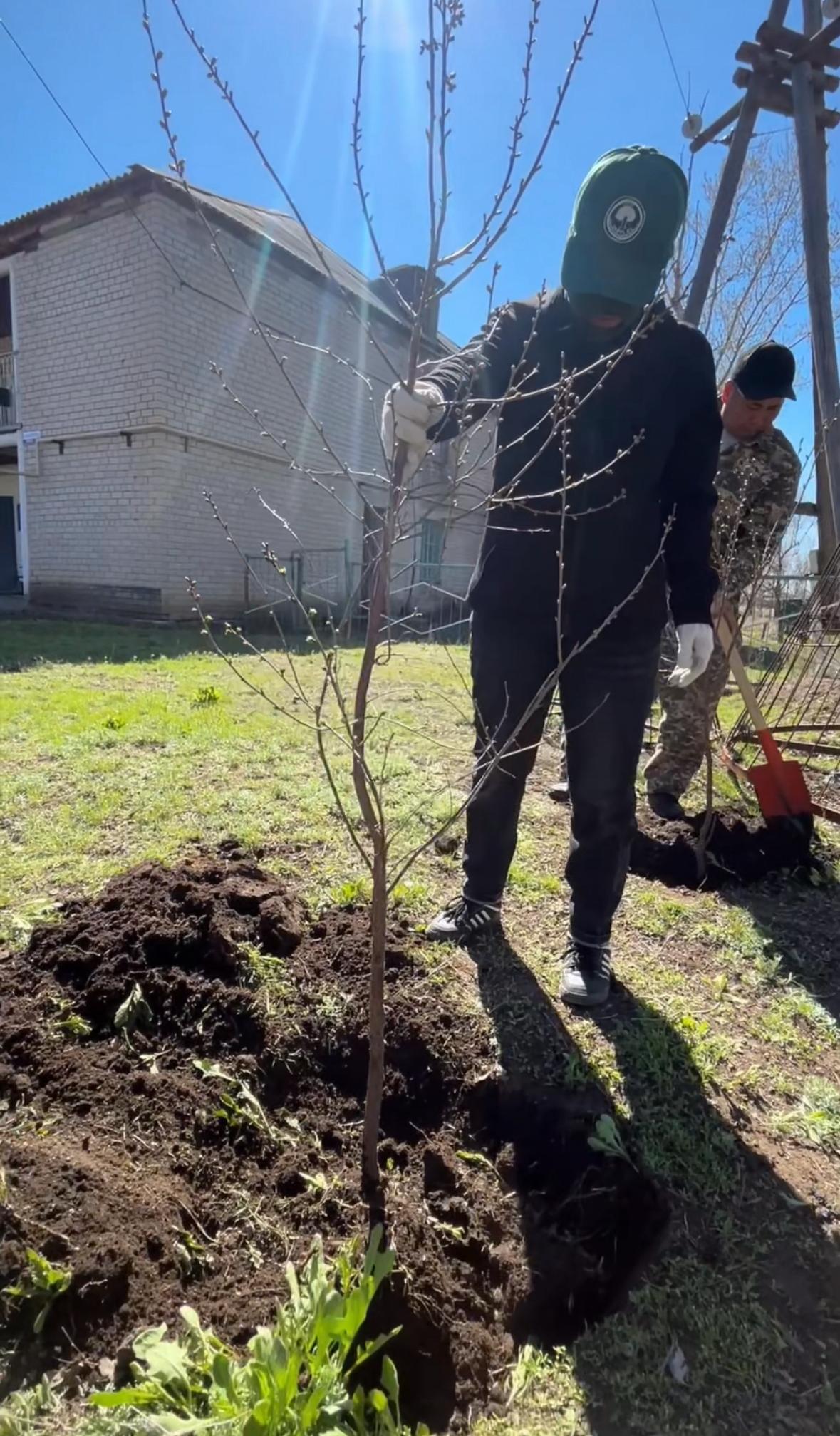 “Бүкілқазақстандық ағаш отырғызу” акциясы өтті