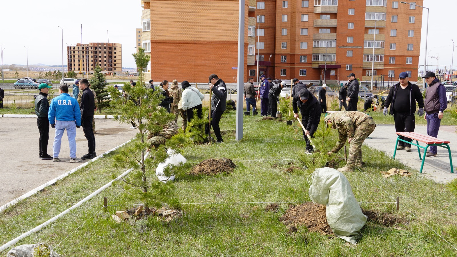 Ақмолалық құтқарушылар қылқан жапырақты ағаштардың 100 көшетін отырғызды