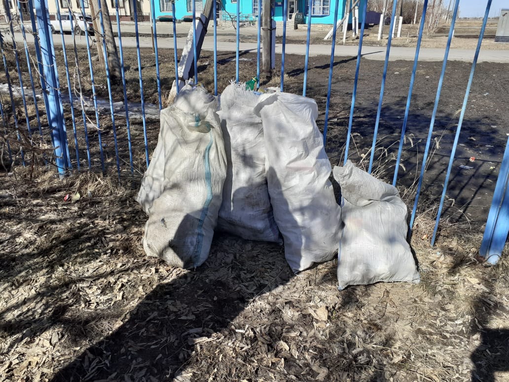 Аллеяны тазарту