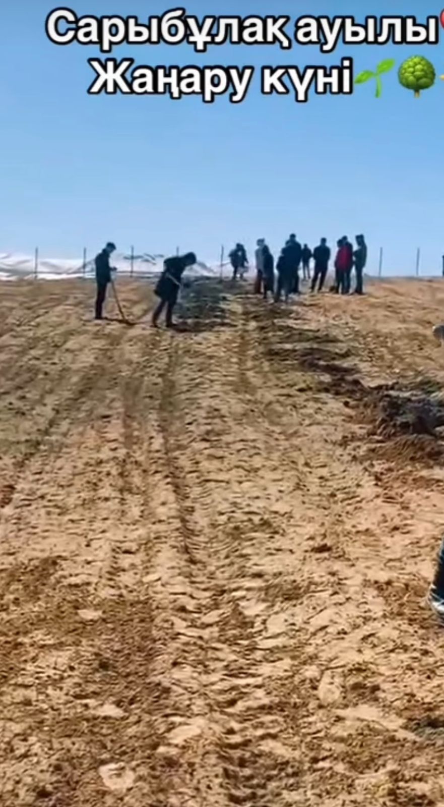 2025 жылдың 19 наурыз күні Сарыбұлақ ауылдық округінде Жаңару күніне орай ағаштар отырғызылды.