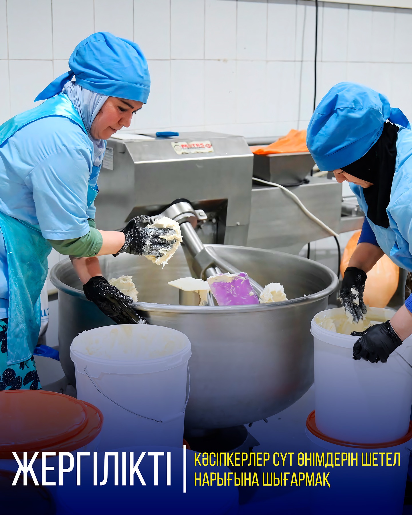 ЖЕРГІЛІКТІ КӘСІПКЕРЛЕР СҮТ ӨНІМДЕРІН ШЕТЕЛ НАРЫҒЫНА ШЫҒАРМАҚ
