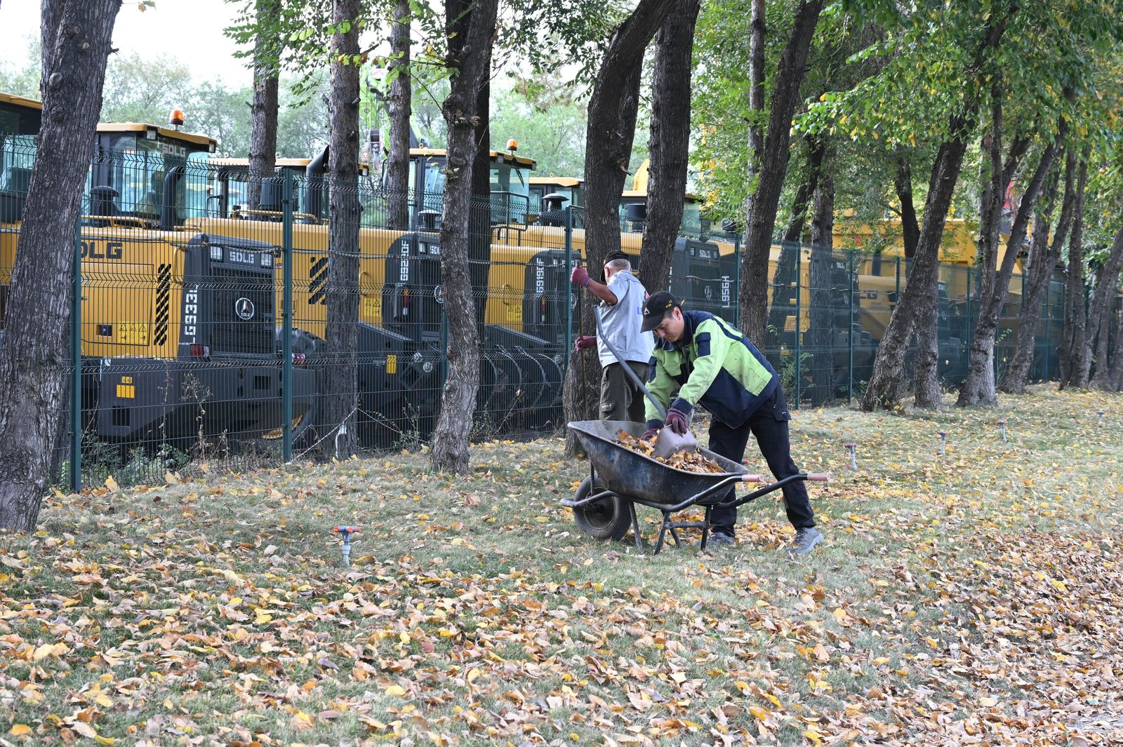 В Алматы впервые внедрена система паспортизации субъектов бизнеса: как это изменит город
