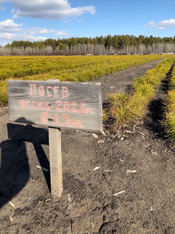 Готовность лесного хозяйства к весенней посадке леса