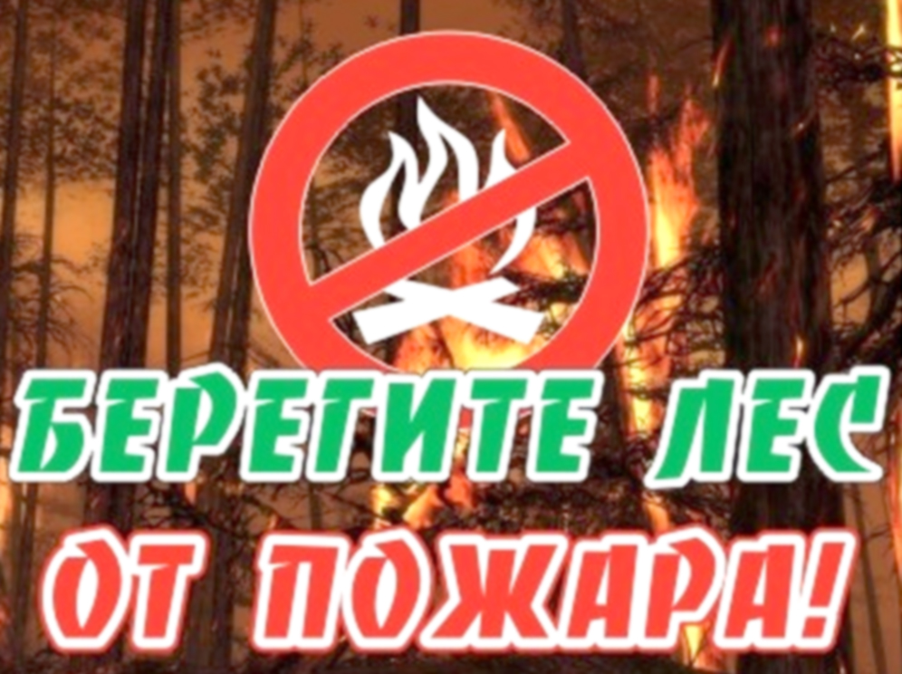 В ПЕРИОД ВЕСЕНЕЕ-ПОЛЕВЫХ РАБОТАХ  НЕ ДОПУСТИТЬ ЛЕСНОГО ПОЖАРА