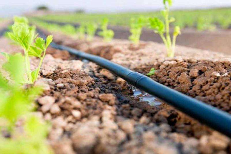 ӨНІМДІЛІКТІ АРТТЫРУДЫҢ ТИІМДІ ЖОЛЫ