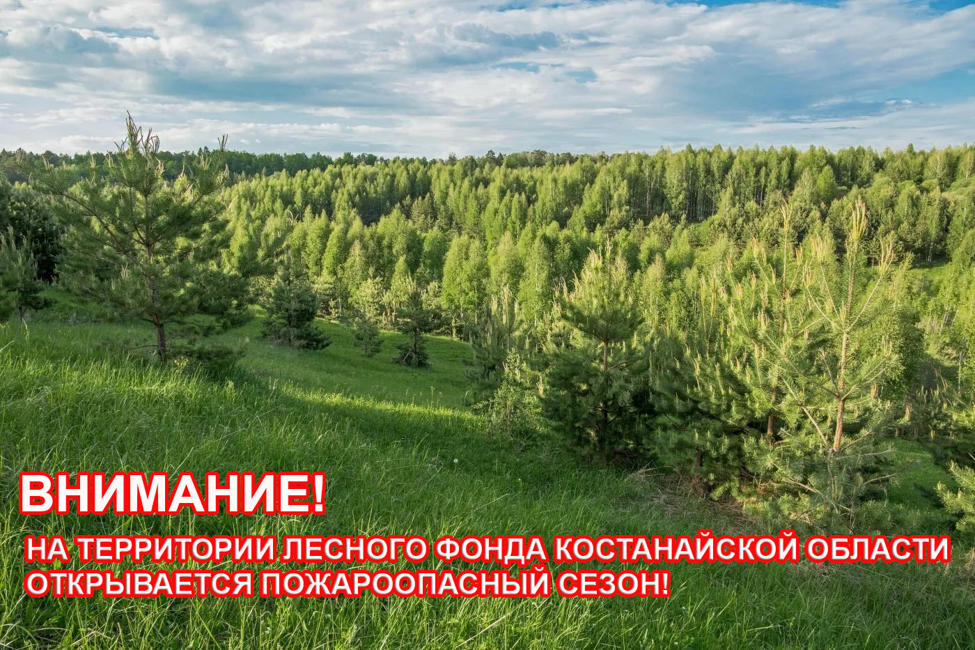 Внимание! Начало пожароопасного периода в лесу!
