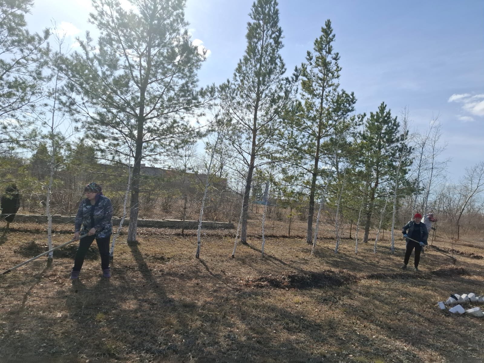 Абаттандыру