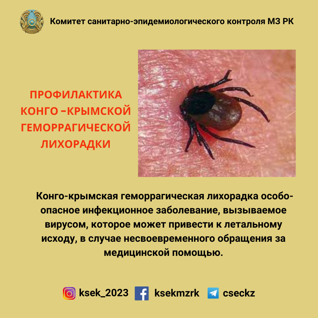 Профилактика Конго-Крымской геморрагической лихорадки