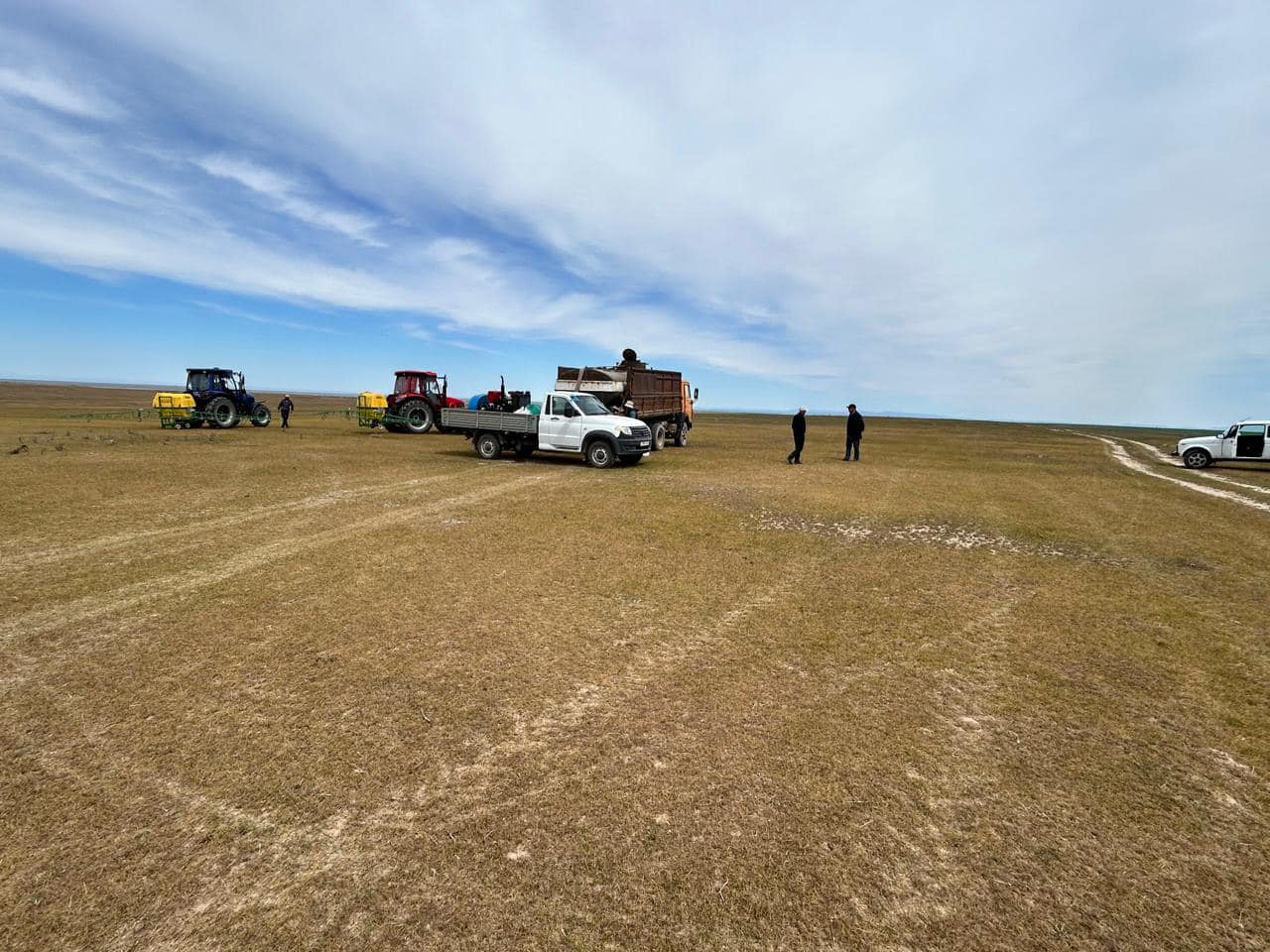 Бәйдібек ауданында аса қауіпті марокко шегірткесіне қарсы фитосанитариялық іс-шаралар жүргізілуде