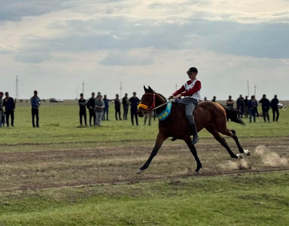 БАБАЛАР ІЗІМЕН БАЛАЛАР ЖҮРДІ…