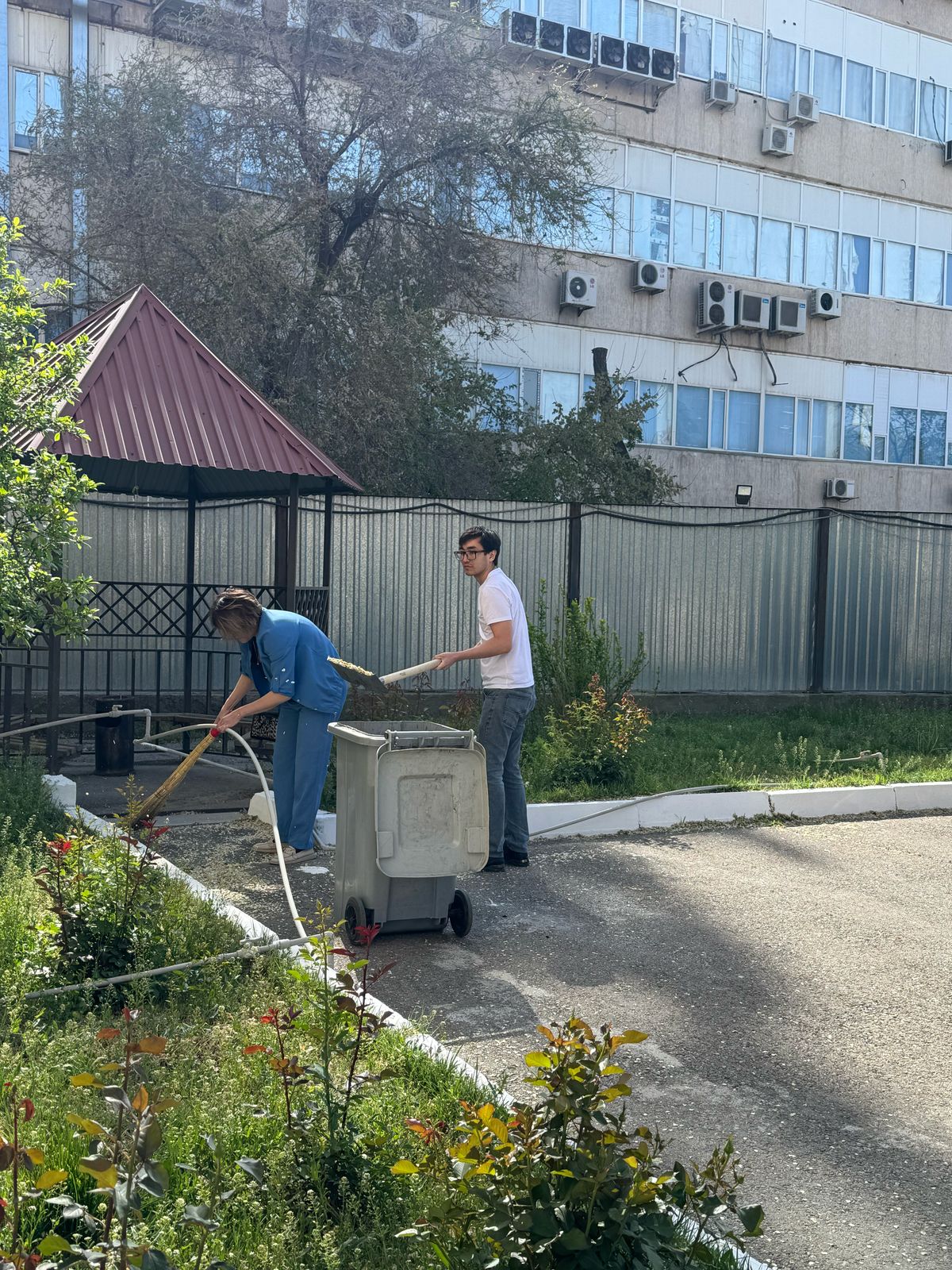 Жалпы қалалық сенбілік