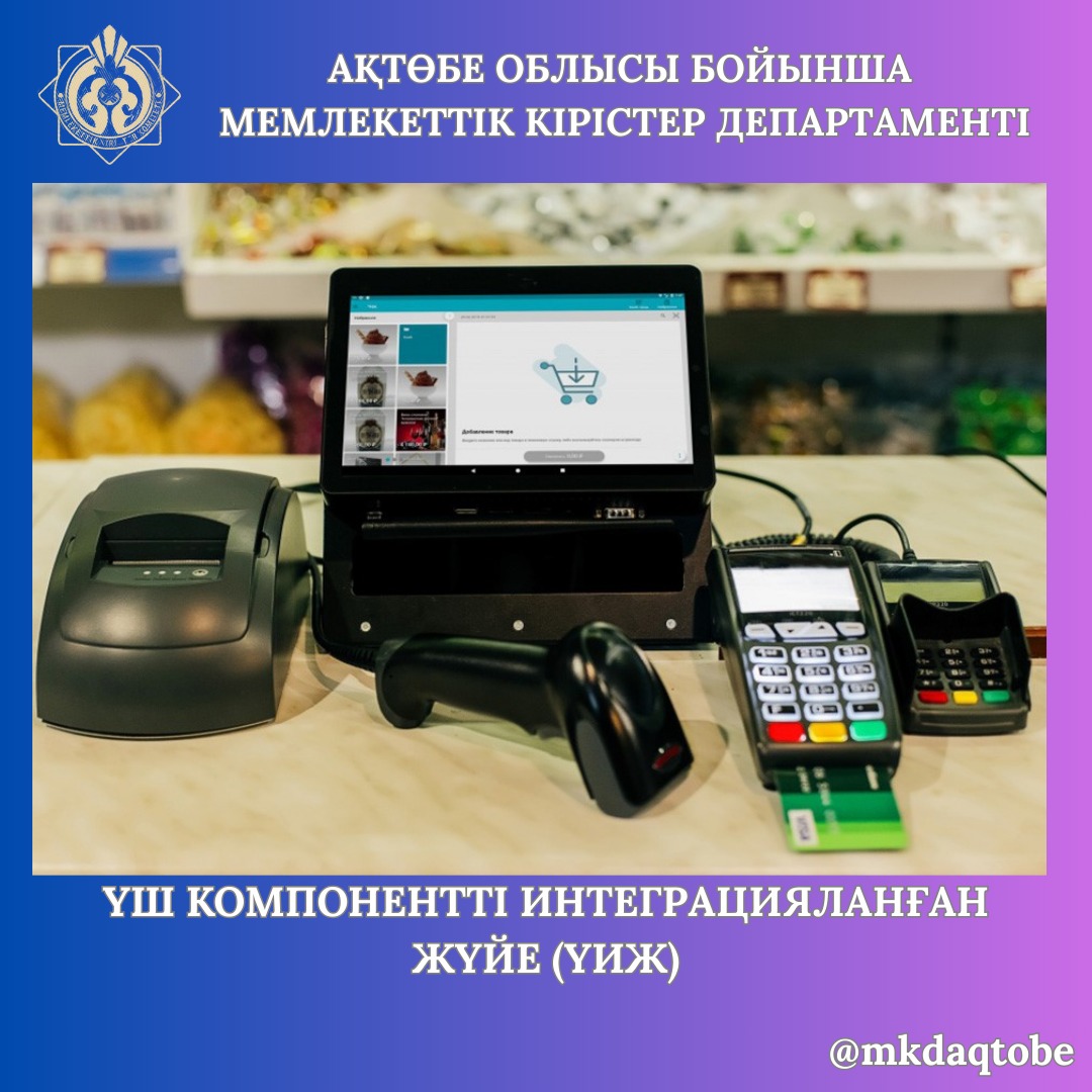 Үш компонентті интеграцияланған жүйе (YИЖ)