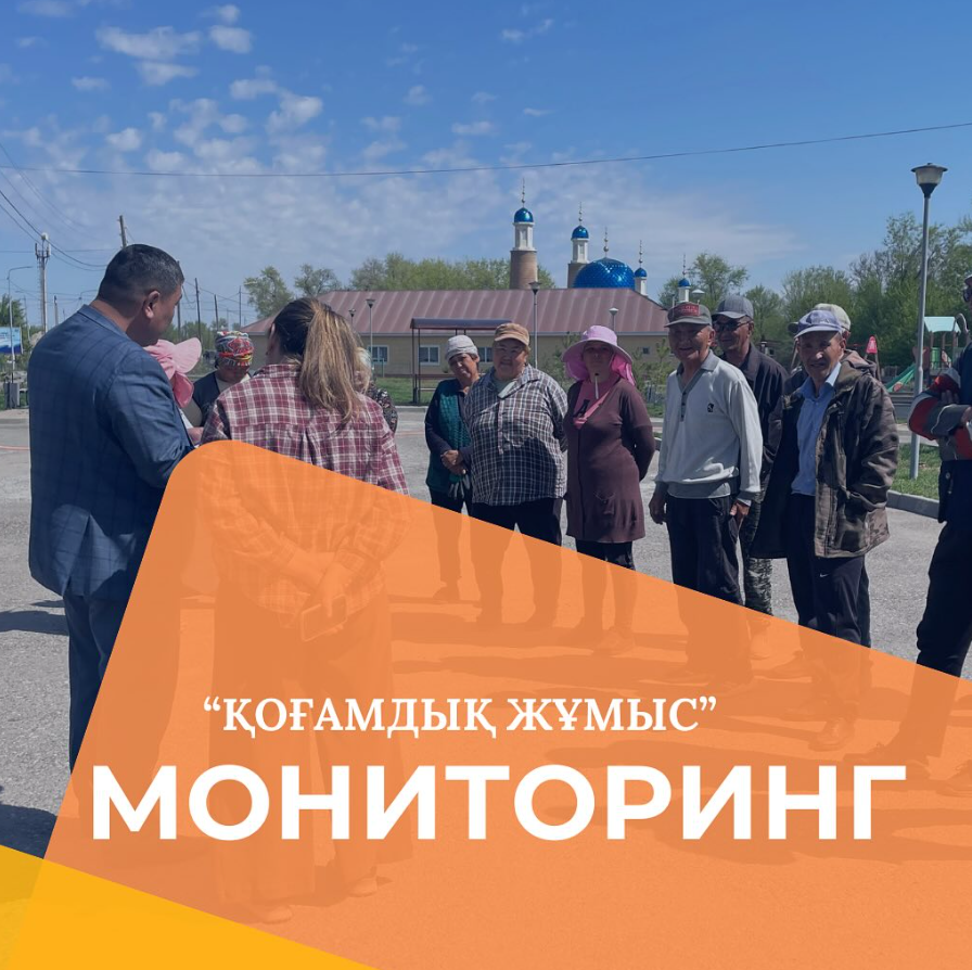 Қоғамдық жұмыстарға мониторинг