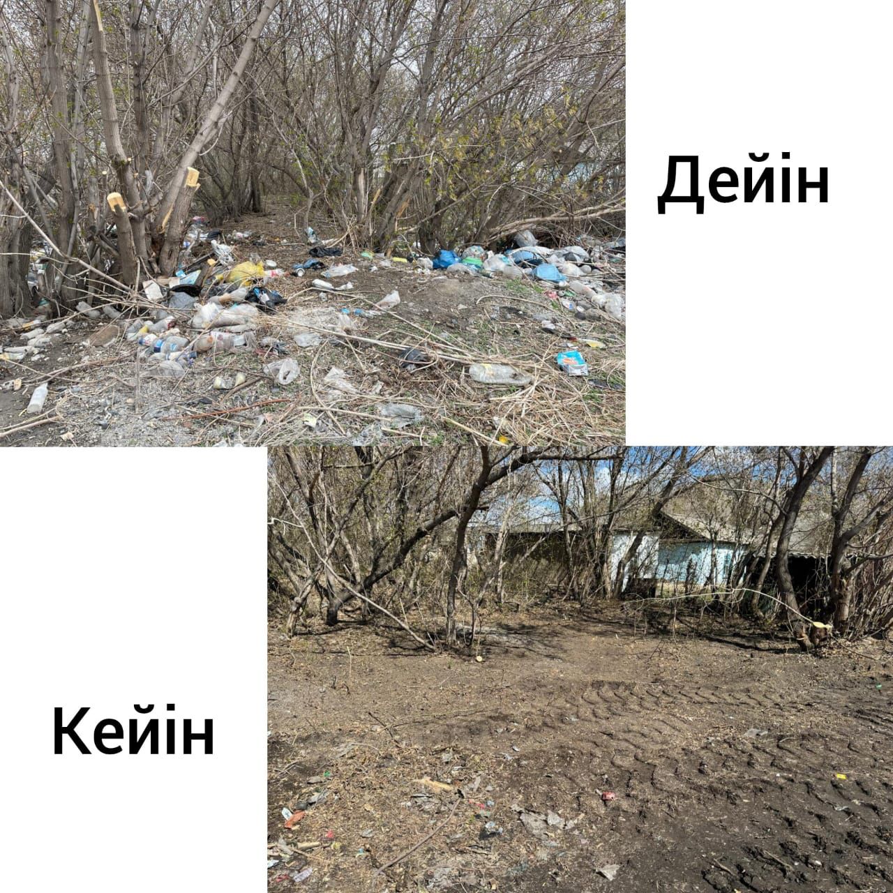 🌱 Сегодня в Калбатауском сельском округе прошел субботник🌿