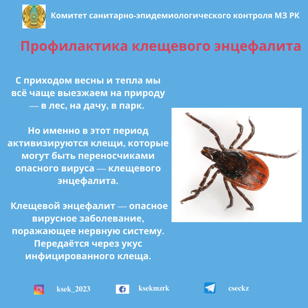 Профилактика клещевого энцефалита