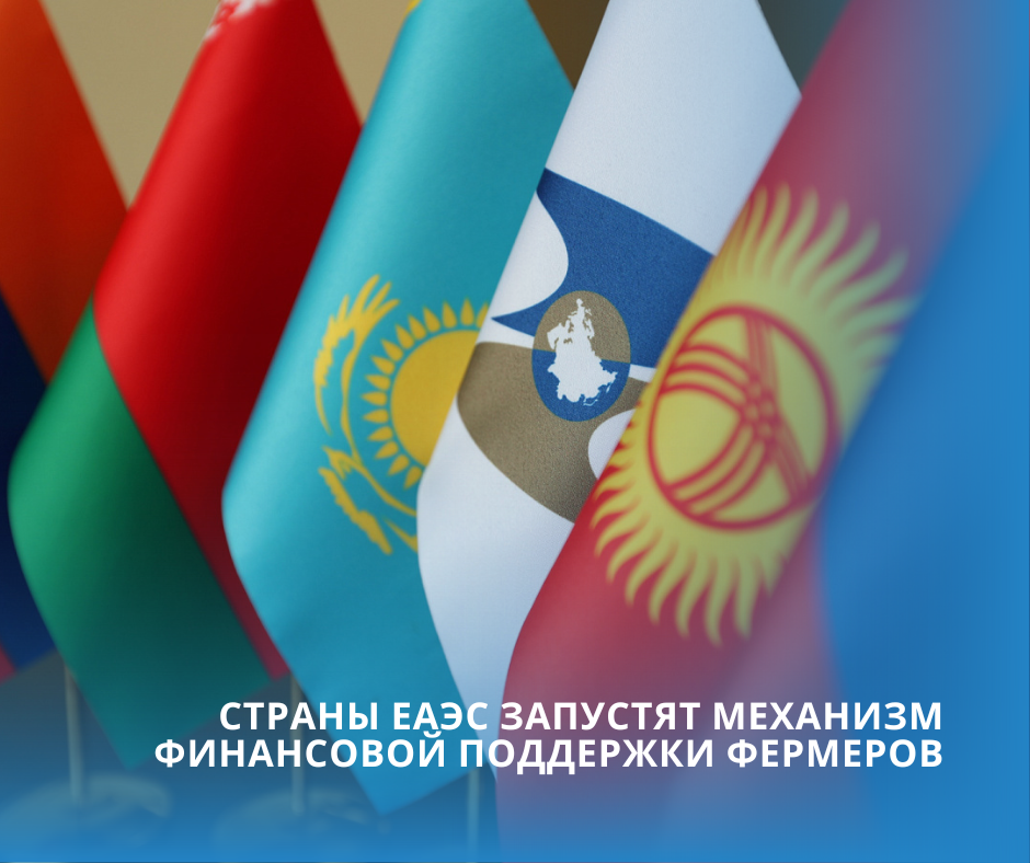 Страны ЕАЭС запустят механизм финансовой поддержки фермеров
