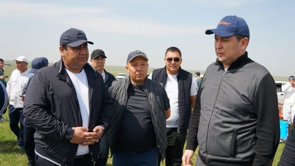 КЕЛЕС: ШЕГІРКЕГЕ ҚАРСЫ ХИМИЯЛЫҚ ӨҢДЕУ ЖҮРГІЗІЛЕТІН АЙМАҚТА БОЛДЫ
