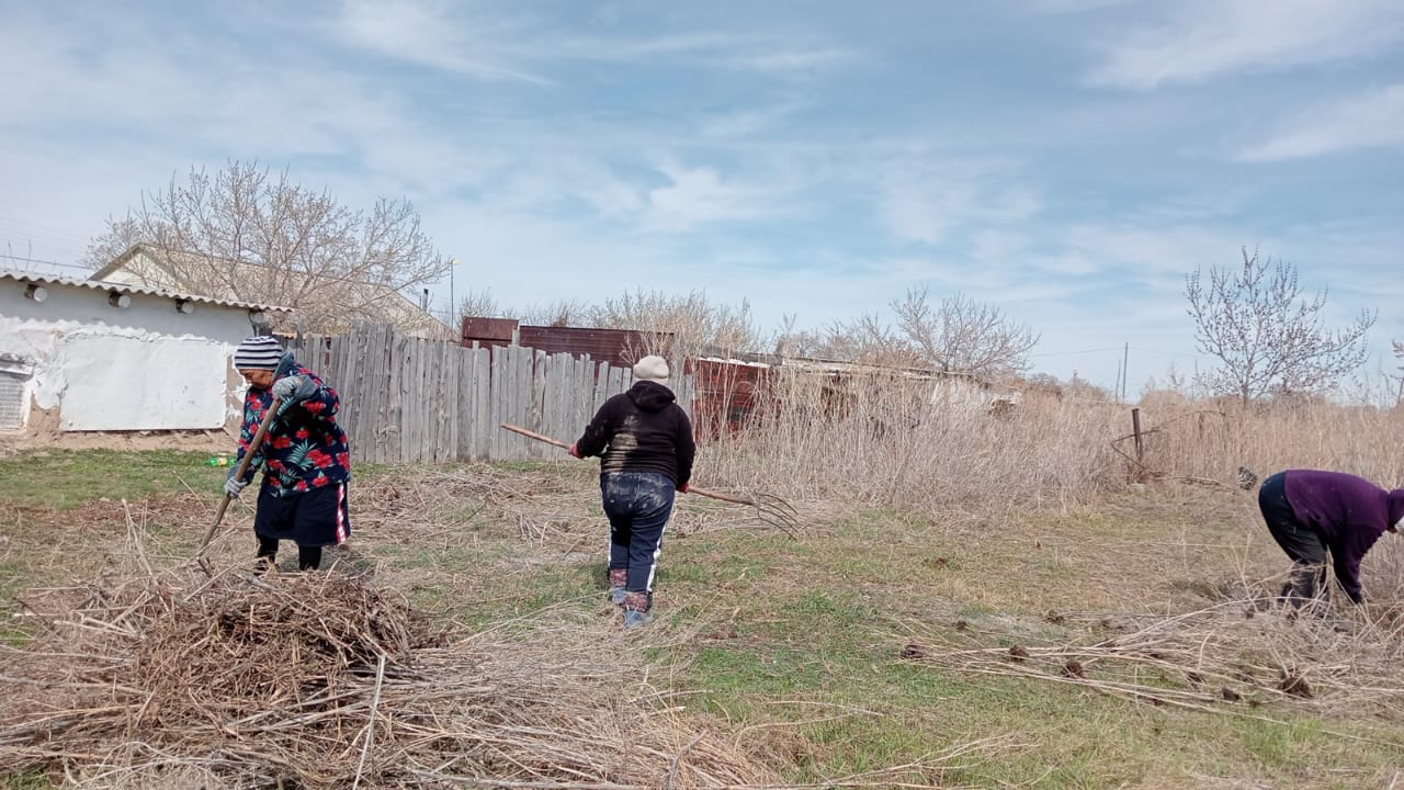 очистка сухой растительности