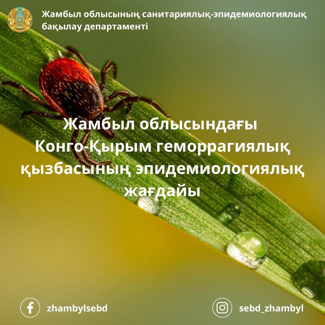 Жамбыл облысындағы Конго-Қырым геморрагиялық қызбасының эпидемиологиялық жағдайы