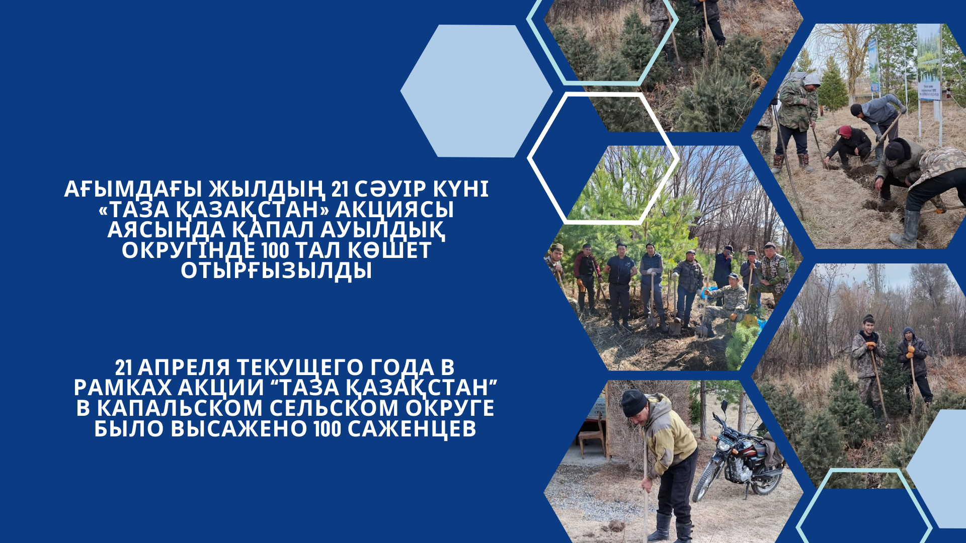 Ағымдағы жылдың 21 сәуір күні «Таза Қазақстан» акциясы аясында Қапал ауылдық округінде 100 тал көшет отырғызылды