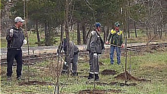 Қарағандының орталық саябағында енді алма бағы болады