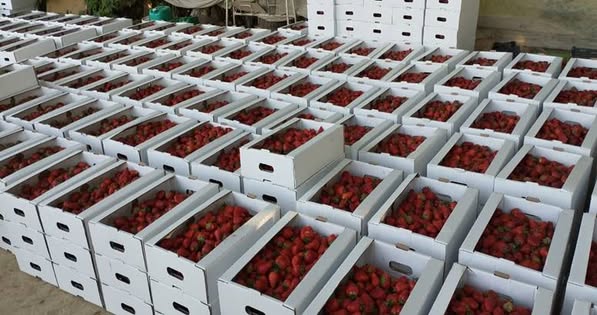 ЭЛИТНЫЙ ЗАМОК, КОТОРЫЙ ПРОИЗВОДИТ 3 РАЗА В СЛЕДУЮЩИЙ ФЕР