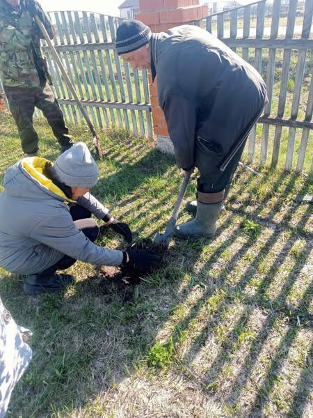 Көгалдандыру және абаттандыру апталығы