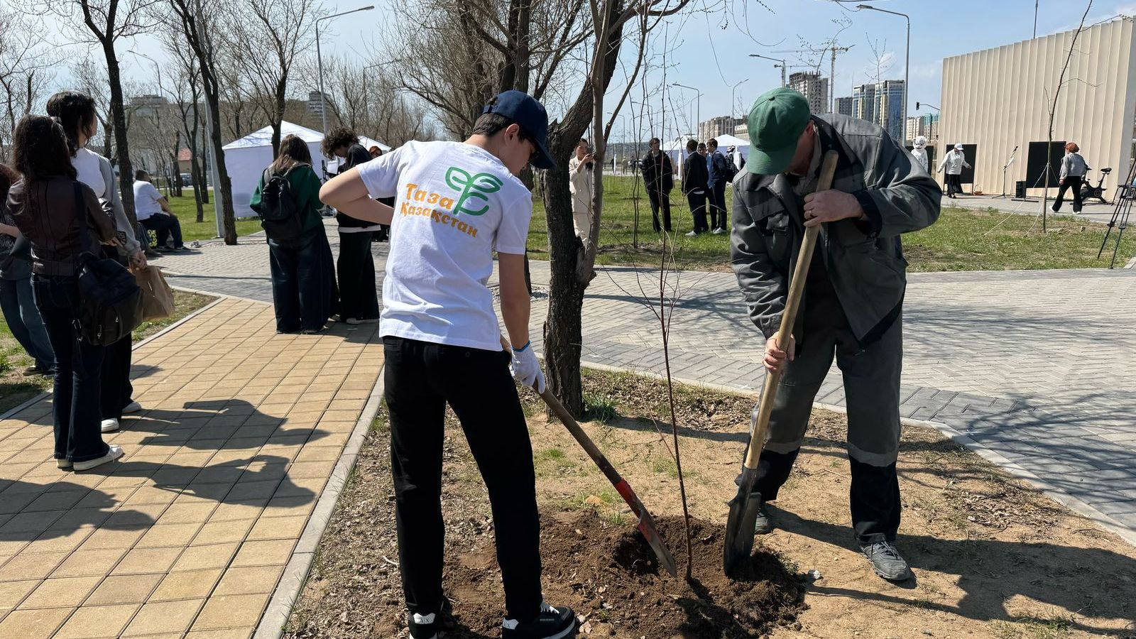 «Таза Қазақстан»: Қарағанды облысында көгалдандыру белсенді жалғасуда