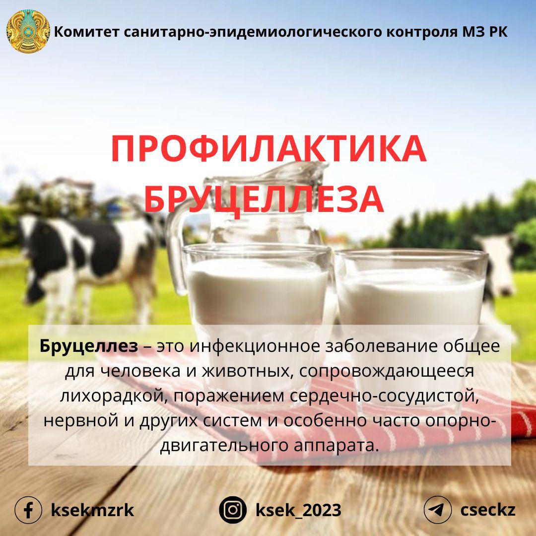 Профилактика бруцеллеза