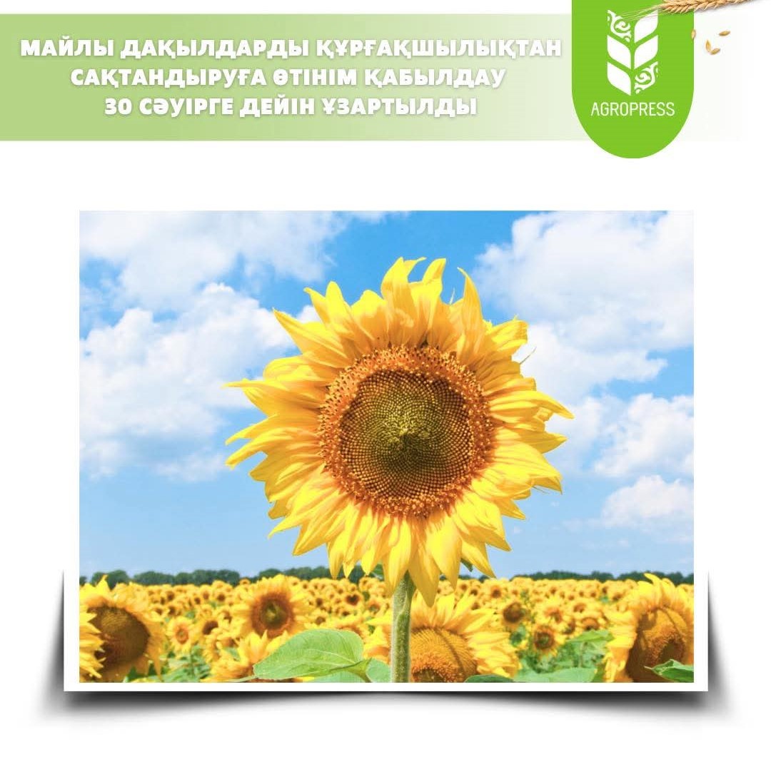 Applications for drought insurance of oilseeds are being accepted until April 30.