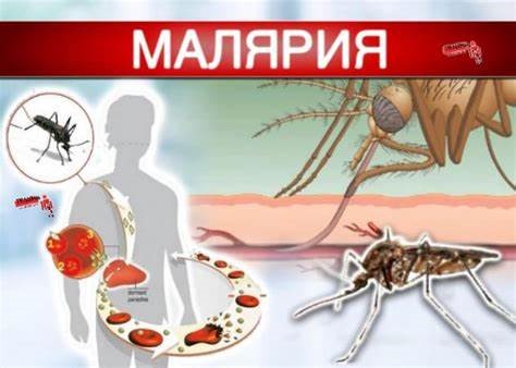 Всемирный День Малярии под девизом "Готовность победить малярию"