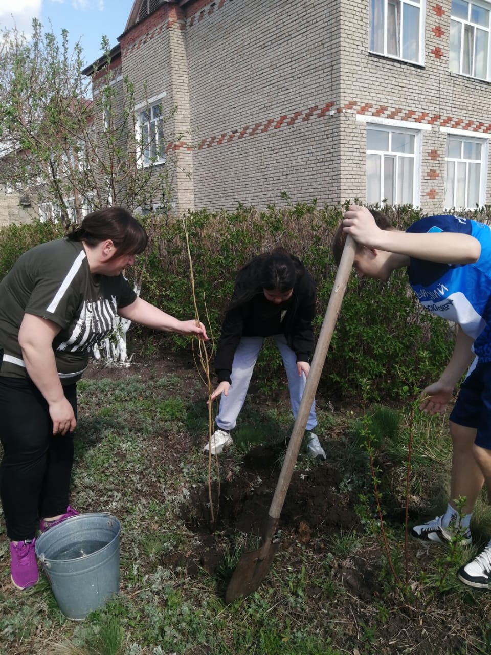 "Таза Қазақстан" экологиялық акциясы аясында ағаш отырғызу