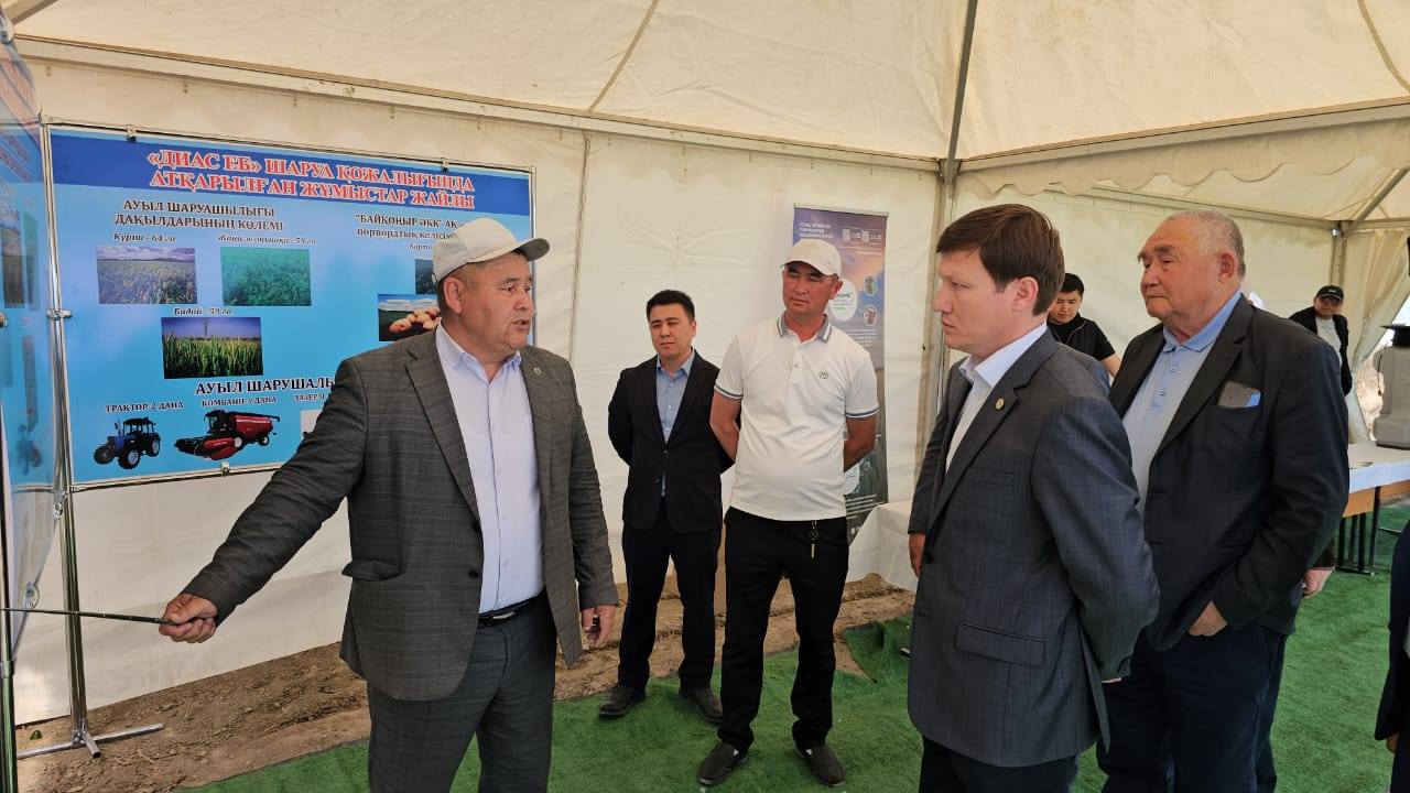 Жаңақорғанда дала төсіне дән себілді