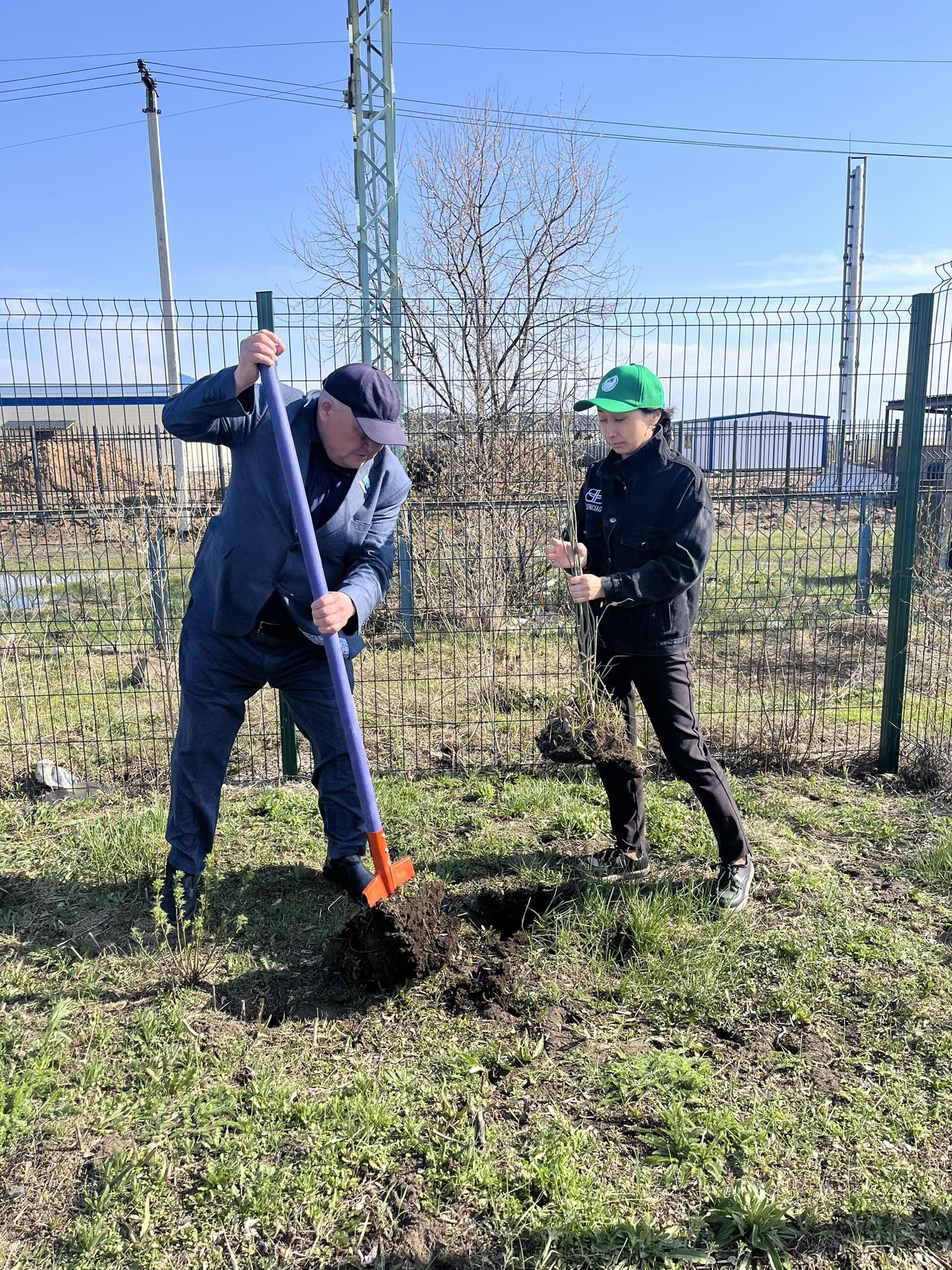 Экологиялық акция аясында жасыл желектер отырғызылды