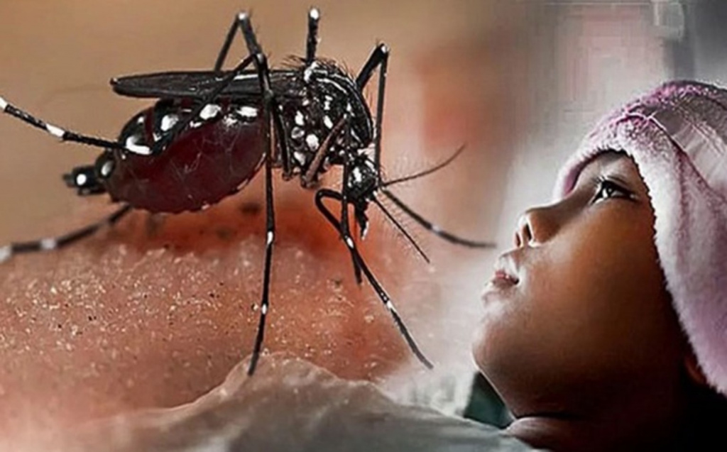 Безгектің алдын алу айлығы жарияланды