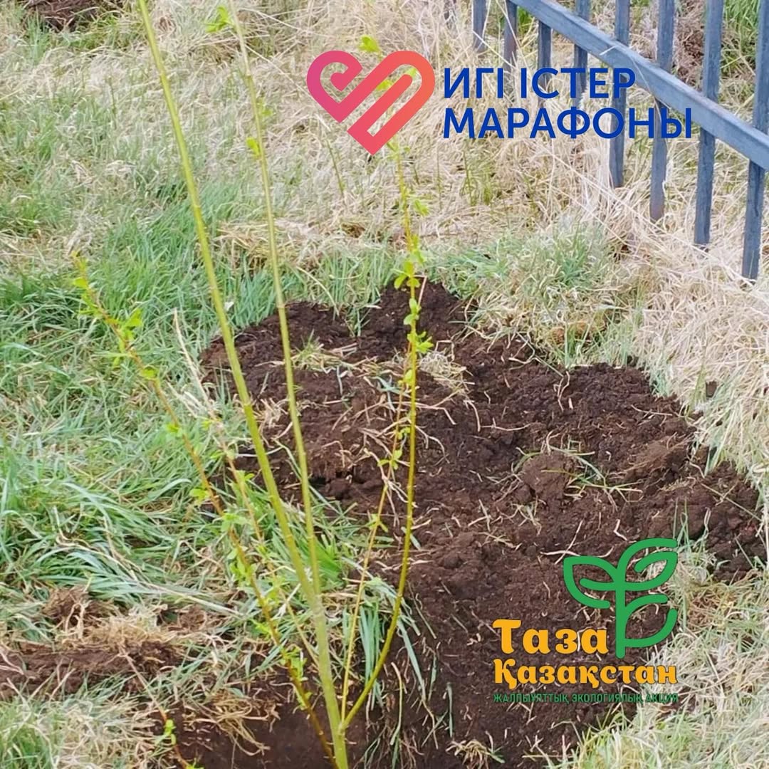 Свердловкадағы Эко-марафон: Жасыл болашақ үшін бірге!