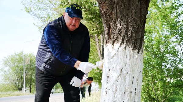 КЕЛЕС АУДАНЫ АУМАҒЫНДА САНИТАРЛЫҚ ТАЗАЛЫҚ ЖӘНЕ АБАТТАНДЫРУ ЖҰМЫСТАРЫ ЖАЛҒАСУДА