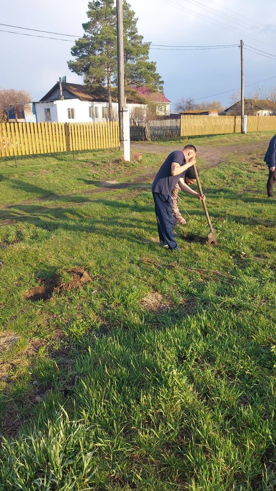 Бүкілқазақстандық ағаш отырғызу күні