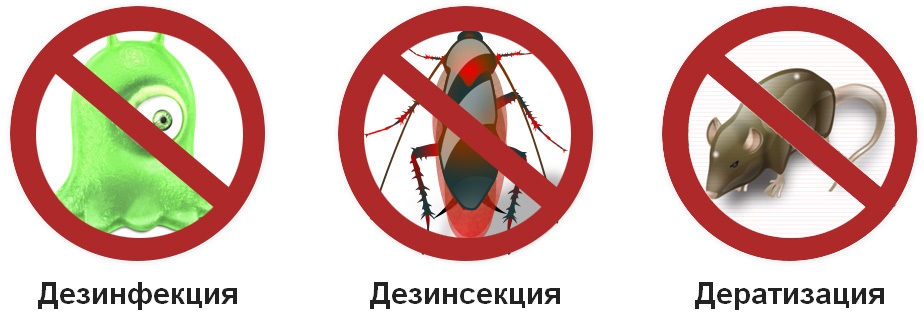 Дезинфекция, дезинсекция және дератизация әдістері