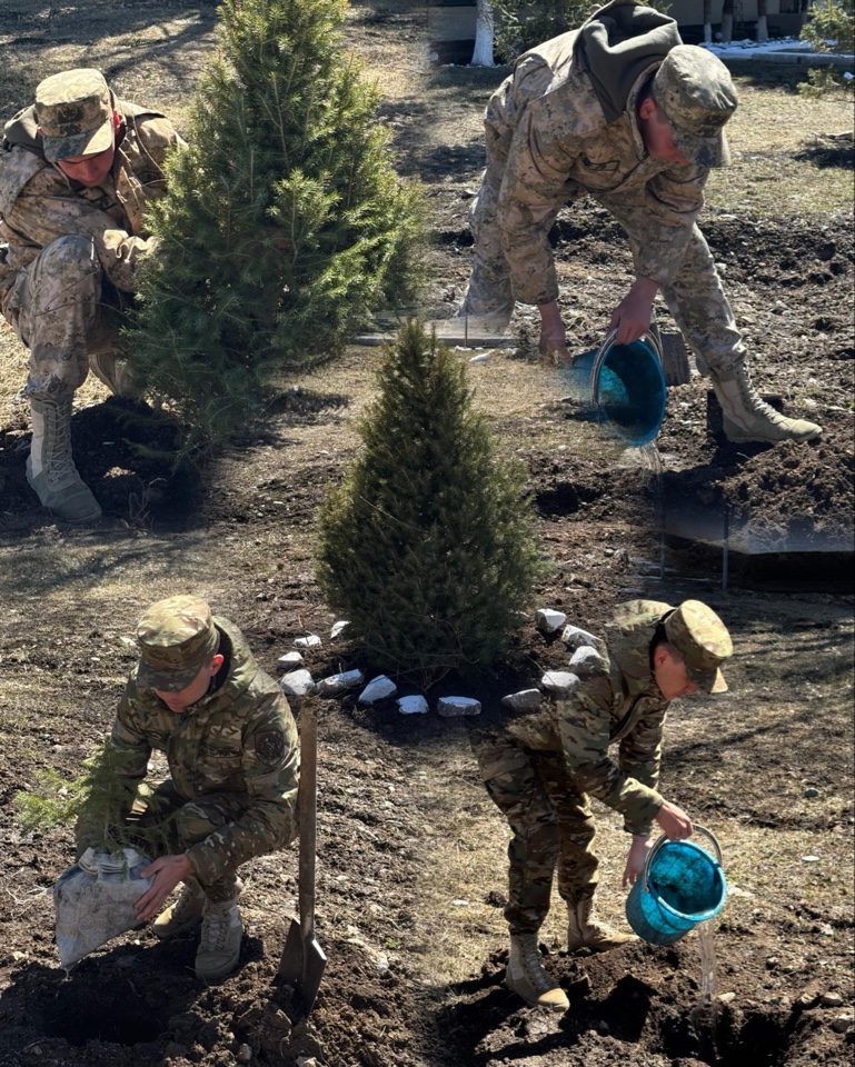 Алакөл ауданында ағаш отырғызу акциясы өтті