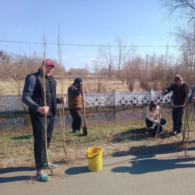 «Таза Қазақстан» экологиялық акциясы аясында «Костряков жалпы білім беретін мектебі» КММ аумағында көгалдандыру шарасы өтті: мектептің оқушылары мен қызметкерлері бірігіп, ағаш көшеттерін отырғызды.
