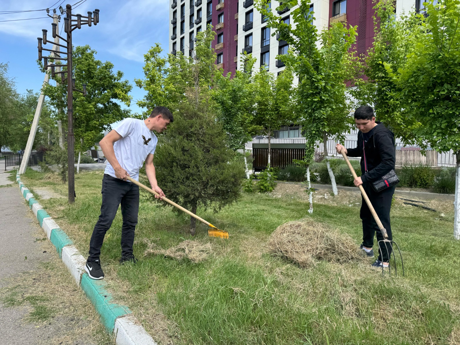 «ТАБИҒАТТЫ АЯЛАУ – ҰРПАҚҚА ҮЛГІ»: ТАЗА ҚАЛА – МӘДЕНИЕТТІ ҚОҒАМНЫҢ АЙНАСЫ