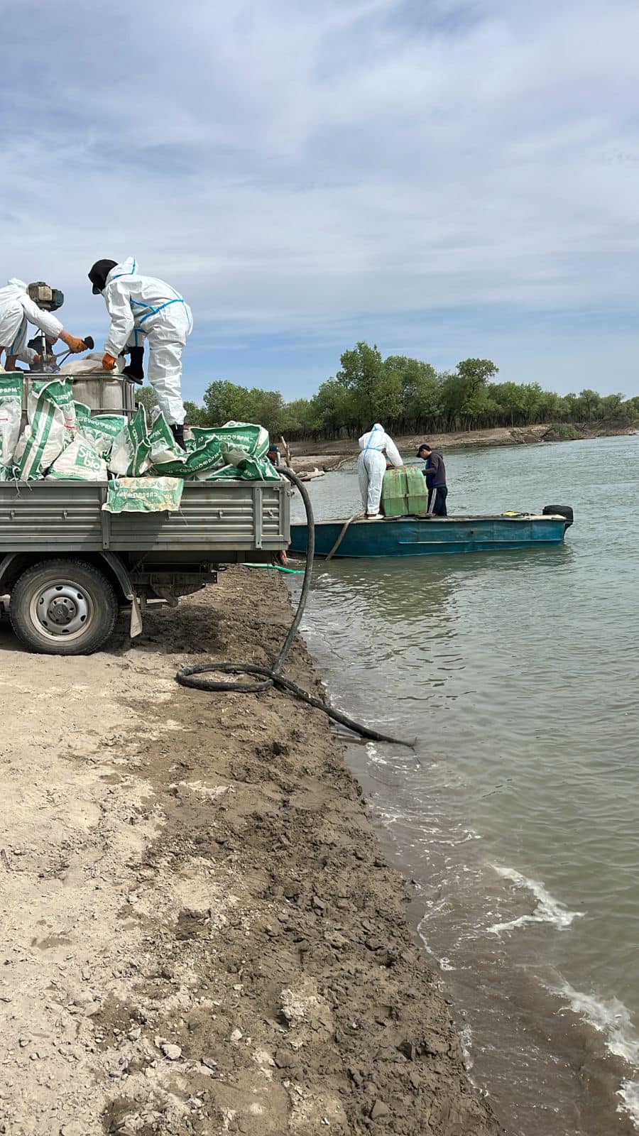 ШІРКЕЙГЕ ҚАРСЫ ЗАЛАЛСЫЗДАНДЫРУ ЖҰМЫСТАРЫ ЖҮРГІЗІЛУДЕ