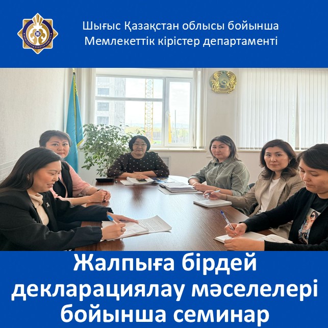 Жалпыға бірдей декларациялау мәселелері бойынша семинар