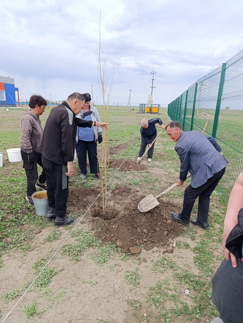 көшеттер отырғызу