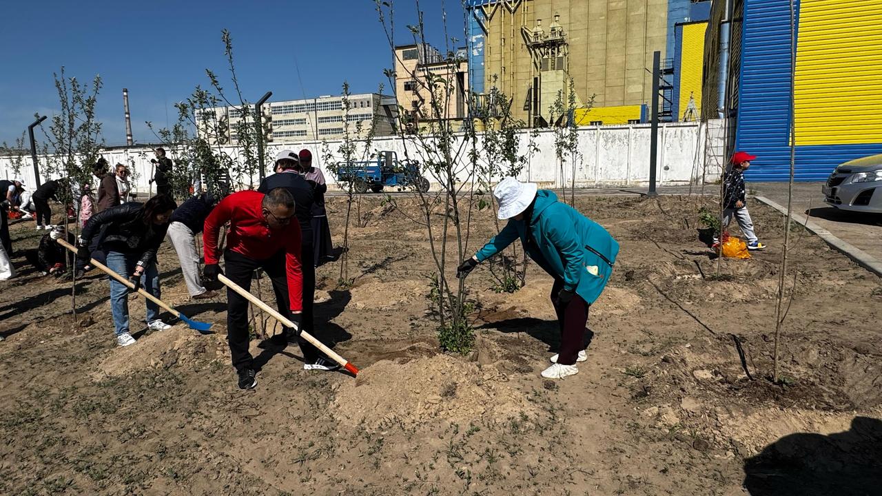 Сила единства: более 110 тысяч деревьев — благодаря поддержке общества появятся в Алматинской области