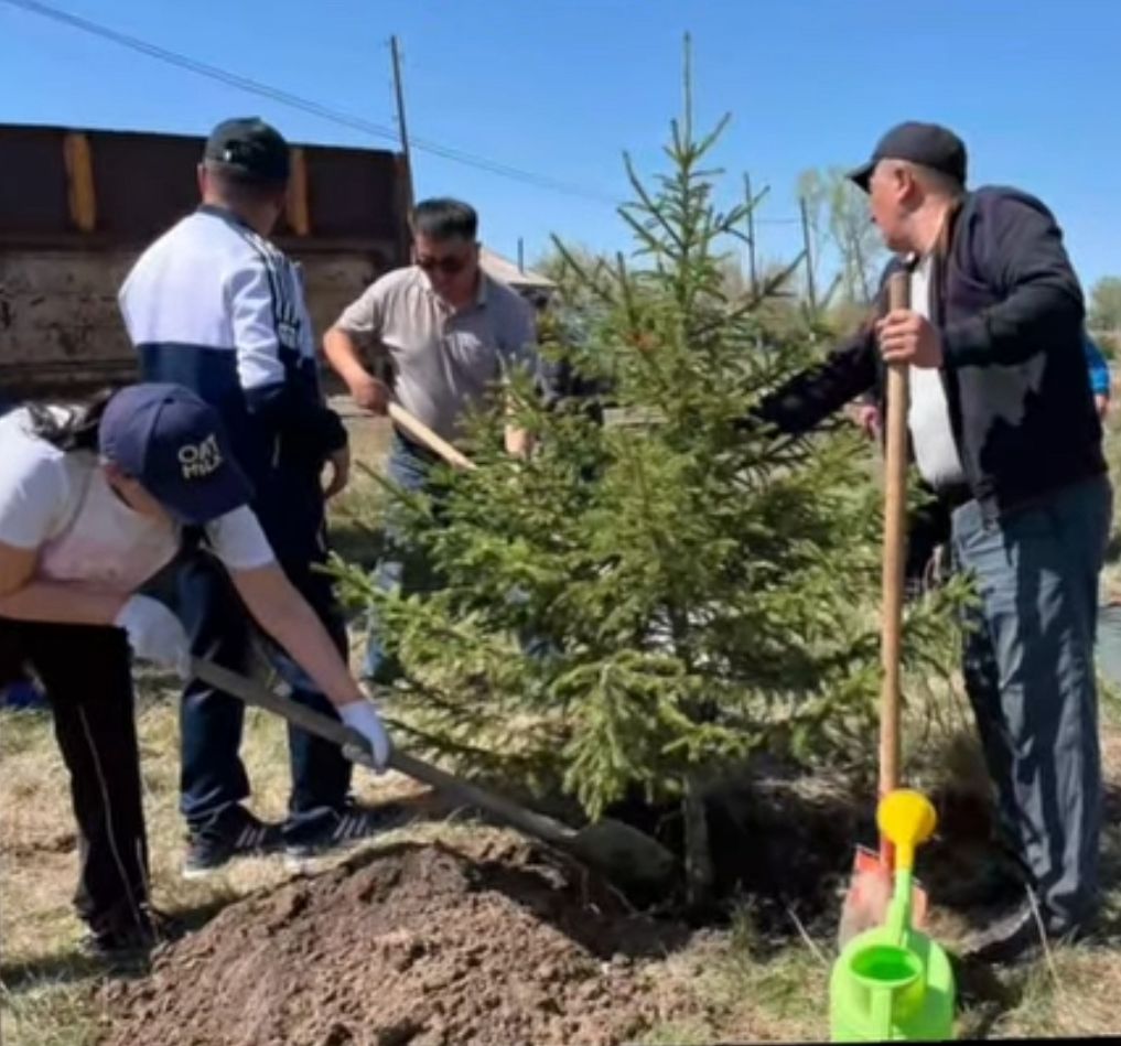 "Ағаш отырғызу жұмыстары - 2025"